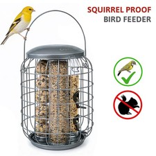 Squirrel Proof Hanging Bird