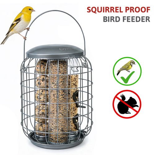 Squirrel proof hanging bird - squirrel,