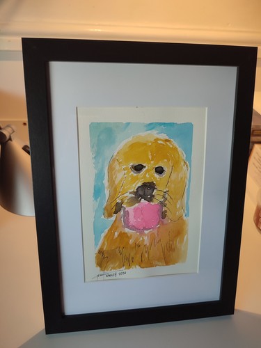 Golden retriever dog original - golden,