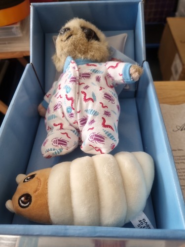 Meerkat baby oleg glow worm - oleg's,