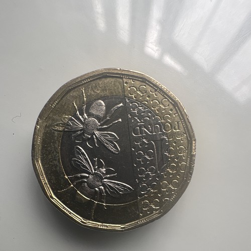 Rare bee 2023 great britain - 2023,
