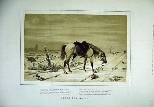 Original old antique print - original,
