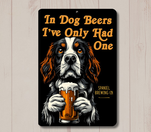 Springer spaniel dog - springer,