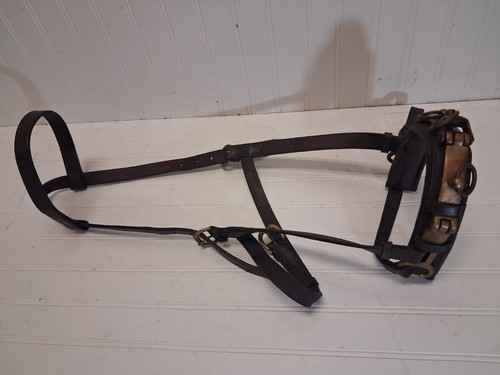 Antique horse buggy - antique,