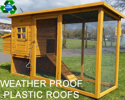 Eco 2000 chicken - eco,