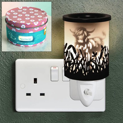 Plug scented wax warmer - plug,