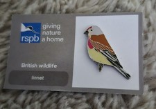 RSPB Bird Pin Badge - Linnet On Grey Backing Card