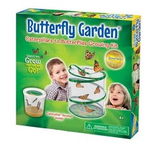 Insect lore butterfly - , garden