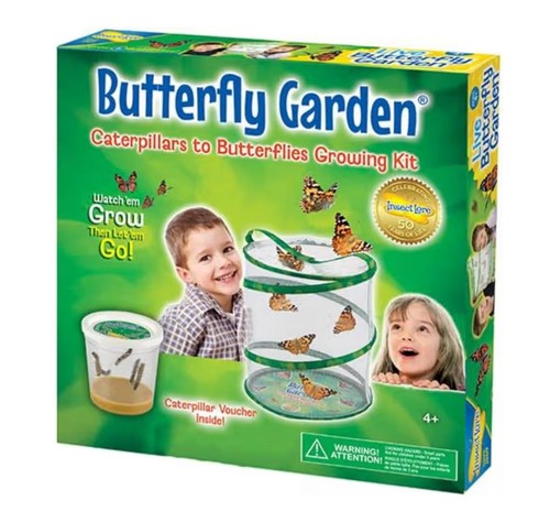 Insect lore butterfly garden