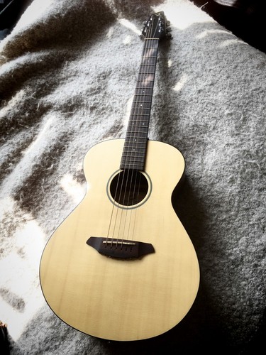 Breedlove passport c200 sme - passport, c200/sme-t