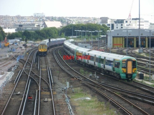 Photo southern emu 377315 - ,