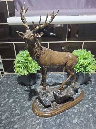 Tom mackie style stag - style,
