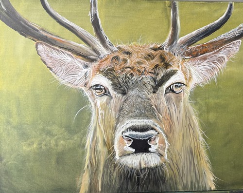 Deer portrait fine - fine, art