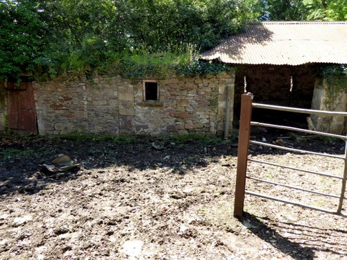 Photo 6x4 ruined - photo,