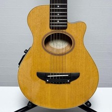 Yamaha APXT-1A Acoustic