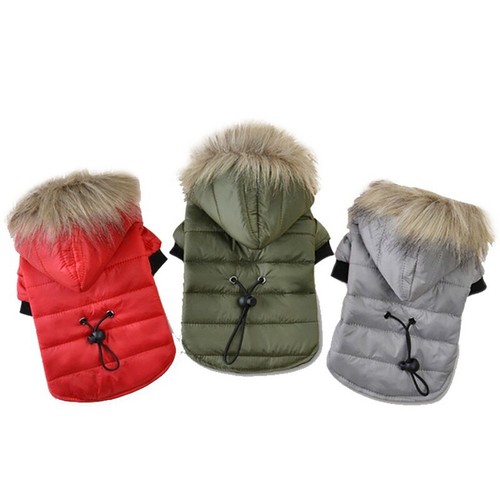 Warm padded dog - padded, coat