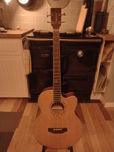 Tanglewood electro acoustic - tanglewood,