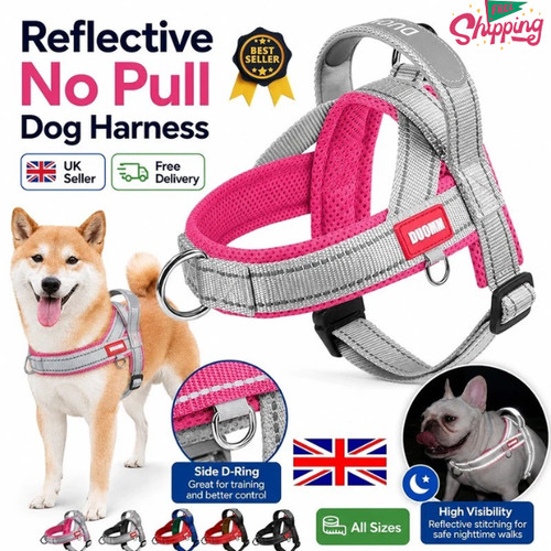 Reflective pull dog - pull,