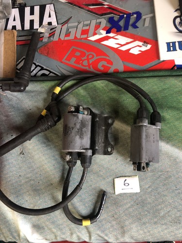 Kawasaki zx9r coils x2 - b, ht
