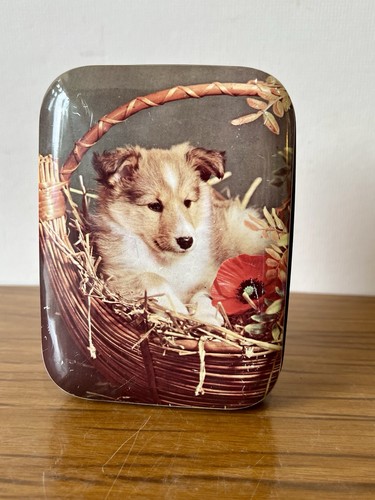 Vintage 1960 novelty - 1960’s,