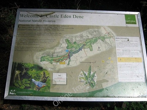 Photo 6x4 information board - photo,