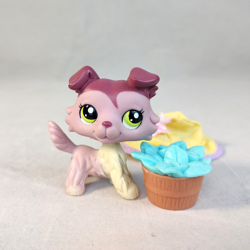 Littlest pet shop - 1723, collie