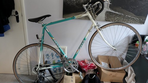 Focus bike - focus,