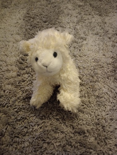 Cuddly club white sheep - club,