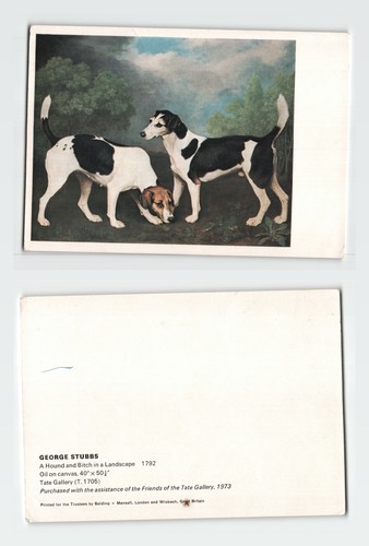 Vintage postcard george stubbs - vintage,