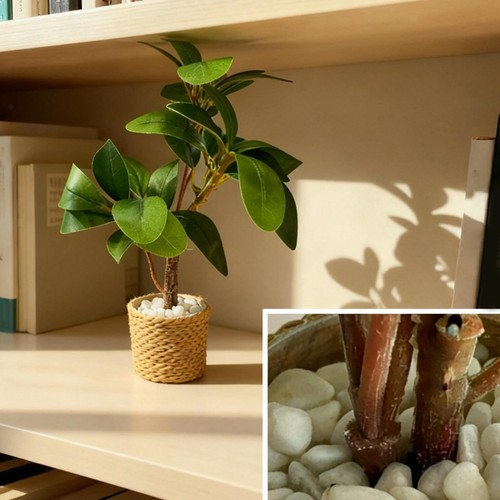 Miniature dollhouse plant - miniature,