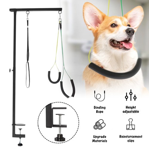 Dog grooming arm pet - arm,