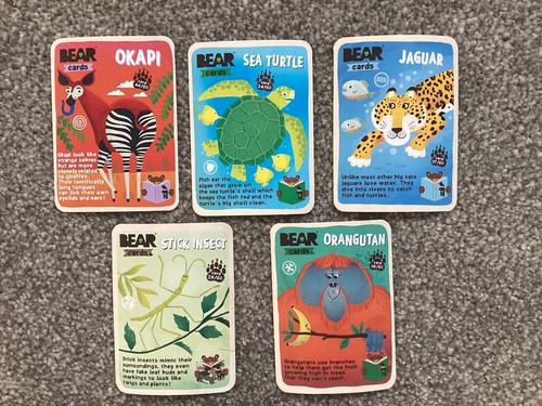 Yoyo bear card bundle - yoyo,