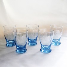 Five Etched Grapevine Crystal Light Blue Drinking Glasses Barware
