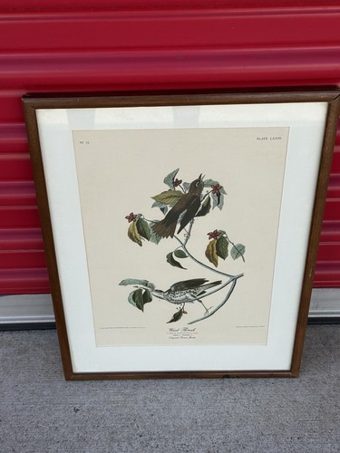 Audubon john james - audubon, (1785-1851)