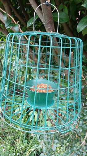 Guardian premium mealy - 2,