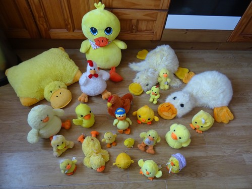 Plush chicks ducks - plush, chicks,