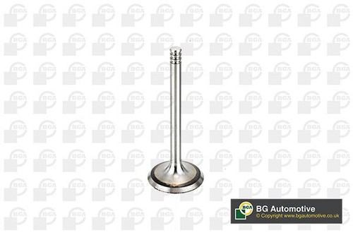 Inlet valve for - inlet, golf