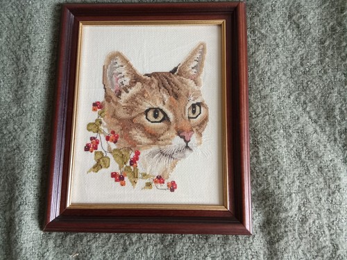 Tabby cat framed - tabby, needlepoint