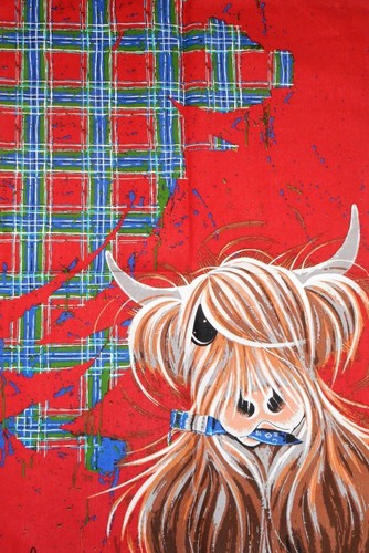 Scottish highland cow tea - cow,