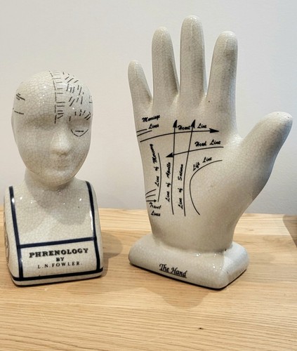 Set phrenology head - head, &
