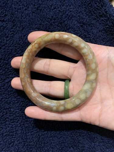 Natural fossil coral bangle - natural,