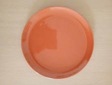 Plate - IKEA Dinner Plate