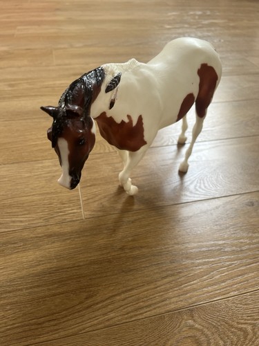Indian pony savanna - indian, dial