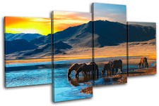 Horses Mountains Animals MULTI