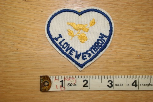 West bromwich albion football - west,