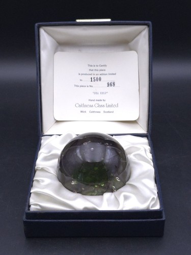 Caithness glass sea kelp - sea,