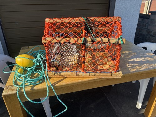 New wooden orange lobster - new,