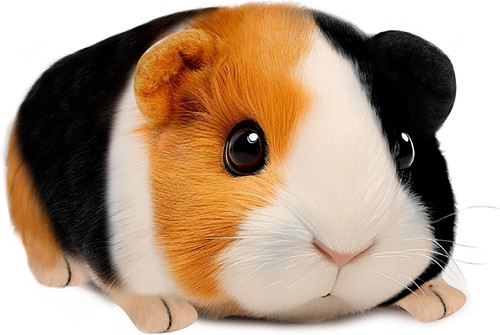 Guinea pig stuffed animal - guinea,