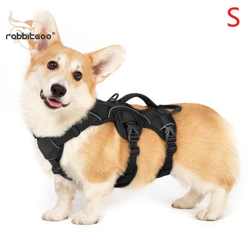 Rabbitgoo escape proof - escape,