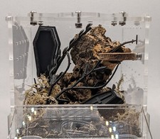 Jumping Spider Complete  Set Up Complete Enclosure Front Ope 10x10x10 Goth Spook